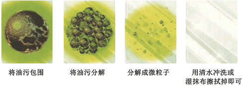亞地斯 油脂分解劑